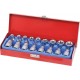 COFFRET 17 PIÉCES 1/2"  DOUILLES-TOURNEVIS-DRAKKAR TOOLS 10772