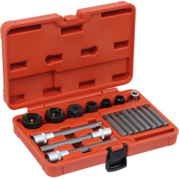 Coffret d'outils de démontage d'alternateur  18 pcs DRAKKAR TOOLS